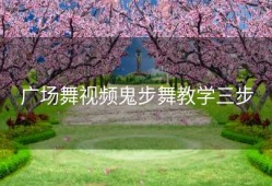 广场舞视频鬼步舞教学三步