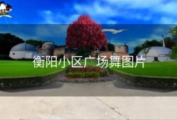 衡阳小区广场舞图片