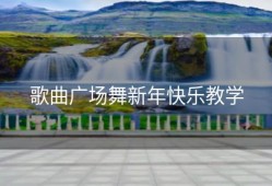 歌曲广场舞新年快乐教学