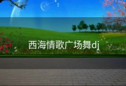 西海情歌广场舞dj