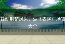 舞动荆楚风采：湖北农民广场舞大全