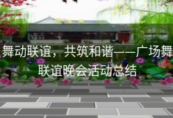 舞动联谊，共筑和谐——广场舞联谊晚会活动总结
