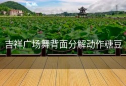 吉祥广场舞背面分解动作糖豆