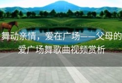 舞动亲情，爱在广场——父母的爱广场舞歌曲视频赏析