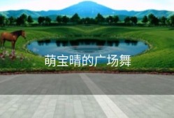 萌宝晴的广场舞