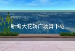 新编大花轿广场舞下载