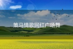 策马情歌网红广场舞