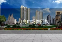 水月亮广场舞回族