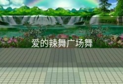 爱的辣舞广场舞