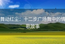舞动红尘：十二步广场舞中的情歌故事