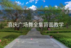 喜庆广场舞全集背面教学