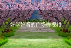 好学好看的广场舞视频