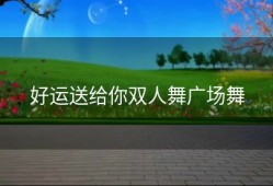 好运送给你双人舞广场舞