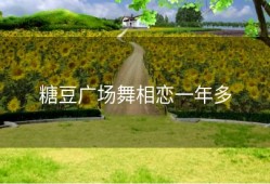 糖豆广场舞相恋一年多