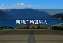 茉莉广场舞男人