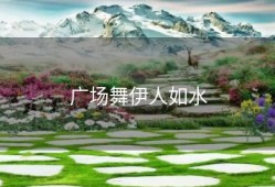 广场舞伊人如水