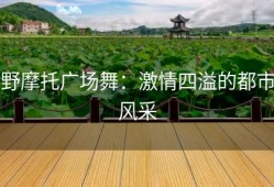 野摩托广场舞：激情四溢的都市风采