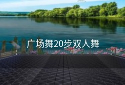 广场舞20步双人舞