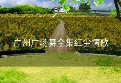 广州广场舞全集红尘情歌