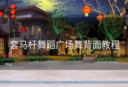 套马杆舞蹈广场舞背面教程