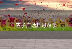 应子广场舞月落泉