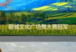 聊城文化广场舞大赛冠军