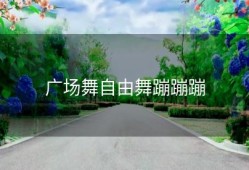 广场舞自由舞蹦蹦蹦