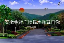 安徽金社广场舞水兵舞画你