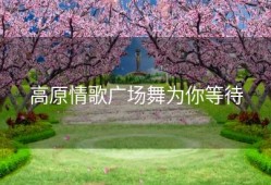 高原情歌广场舞为你等待