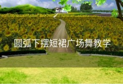 圆弧下摆短裙广场舞教学