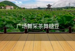 广场舞采茶舞糖豆