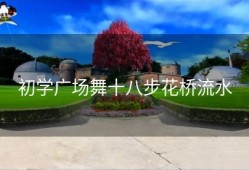 初学广场舞十八步花桥流水