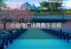 小动物广场舞教学视频