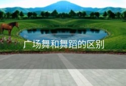 广场舞和舞蹈的区别