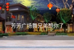 芳芳广场舞兄弟想你了