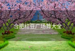合肥红豆广场舞大全