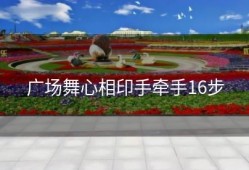 广场舞心相印手牵手16步