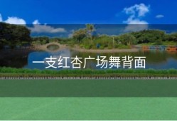 一支红杏广场舞背面