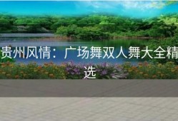 贵州风情：广场舞双人舞大全精选