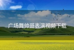 广场舞帅哥表演视频下载