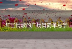 红尘情歌的广场舞简单易学