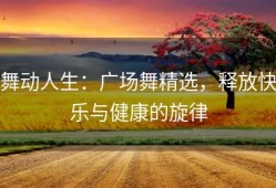 舞动人生：广场舞精选，释放快乐与健康的旋律