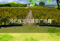 河北保定马建军广场舞