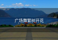 广场舞繁树开花