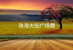 珠海大街广场舞