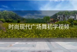 时尚现代广场舞初学视频