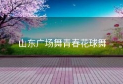 山东广场舞青春花球舞