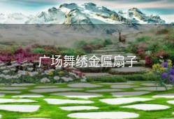 广场舞绣金匾扇子