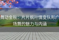 舞动金秋：片片枫叶情变队形广场舞的魅力与内涵