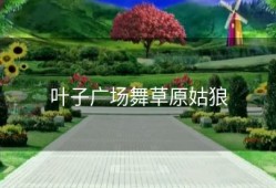 叶子广场舞草原姑狼